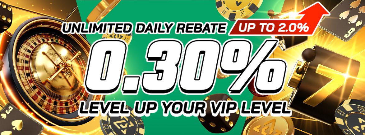 0.35% Unlimited Daily Rebate + up to 2% more for VIP players