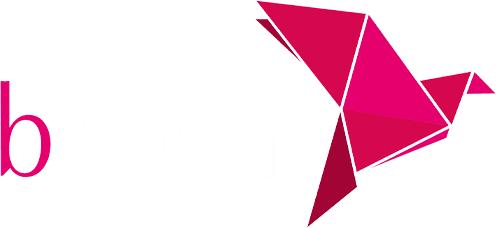 Mega Cricket World bKash Payment Options