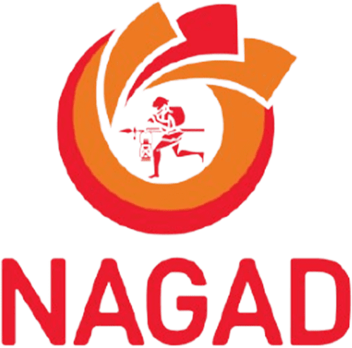 Mega Cricket World Nagad Payment Options